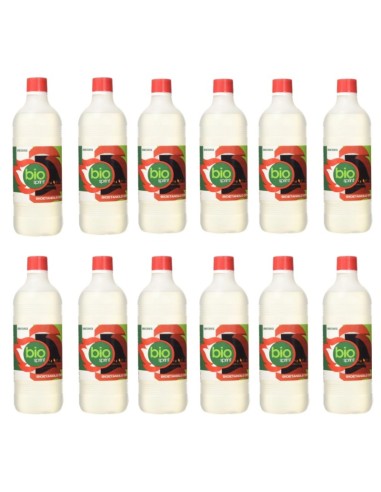BIOETANOLO PER BIOCAMINETTI LT.1 (CONF. PZ 12)
