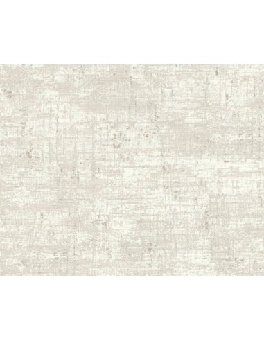 PARATO HOMECOMING CODICE: MC31915