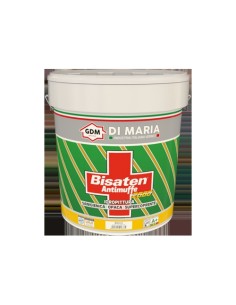 BISATEN 2000 LT.13