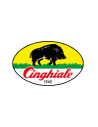 PENNELLI CINGHIALE